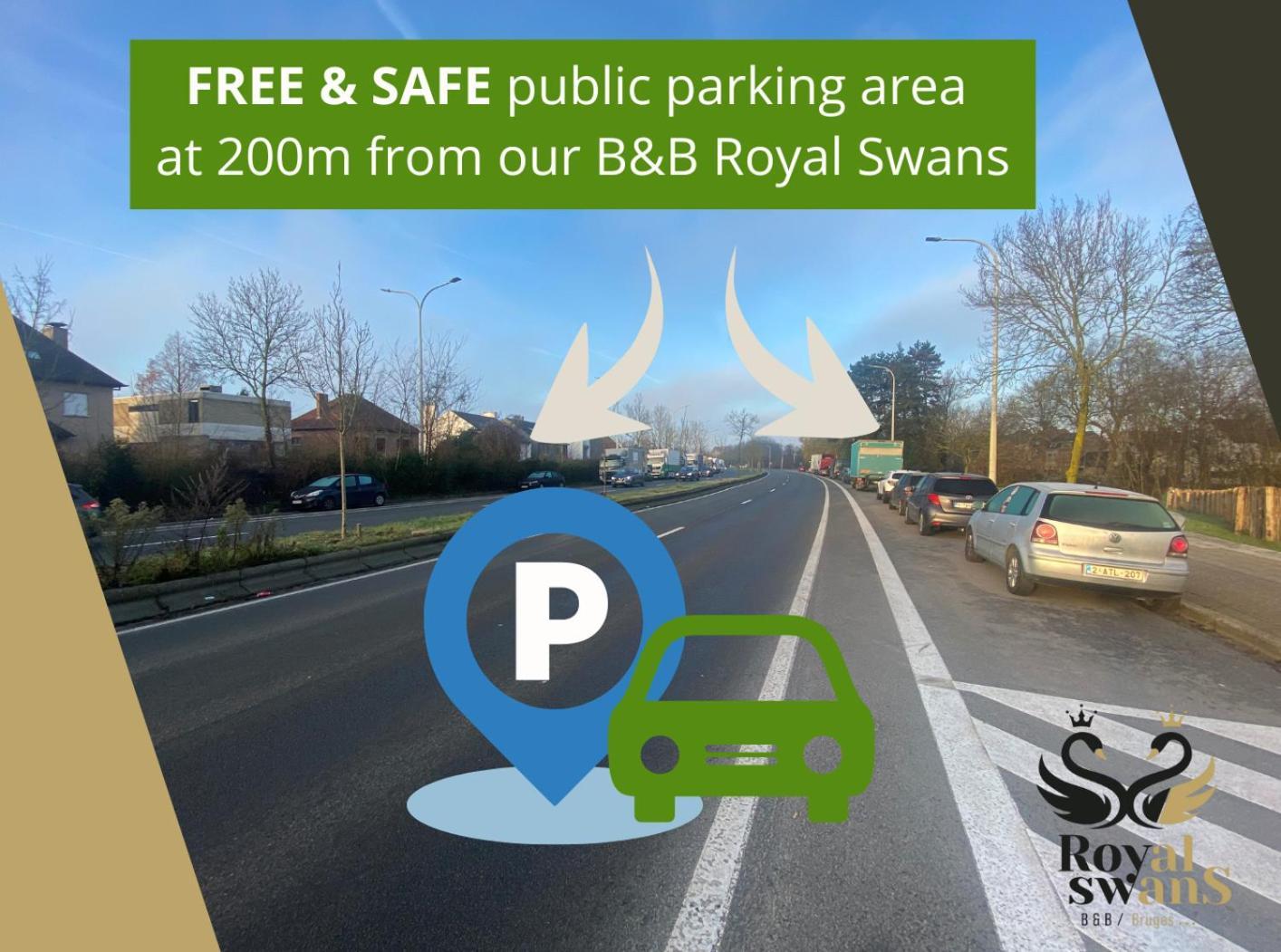Royal Swans Brugge