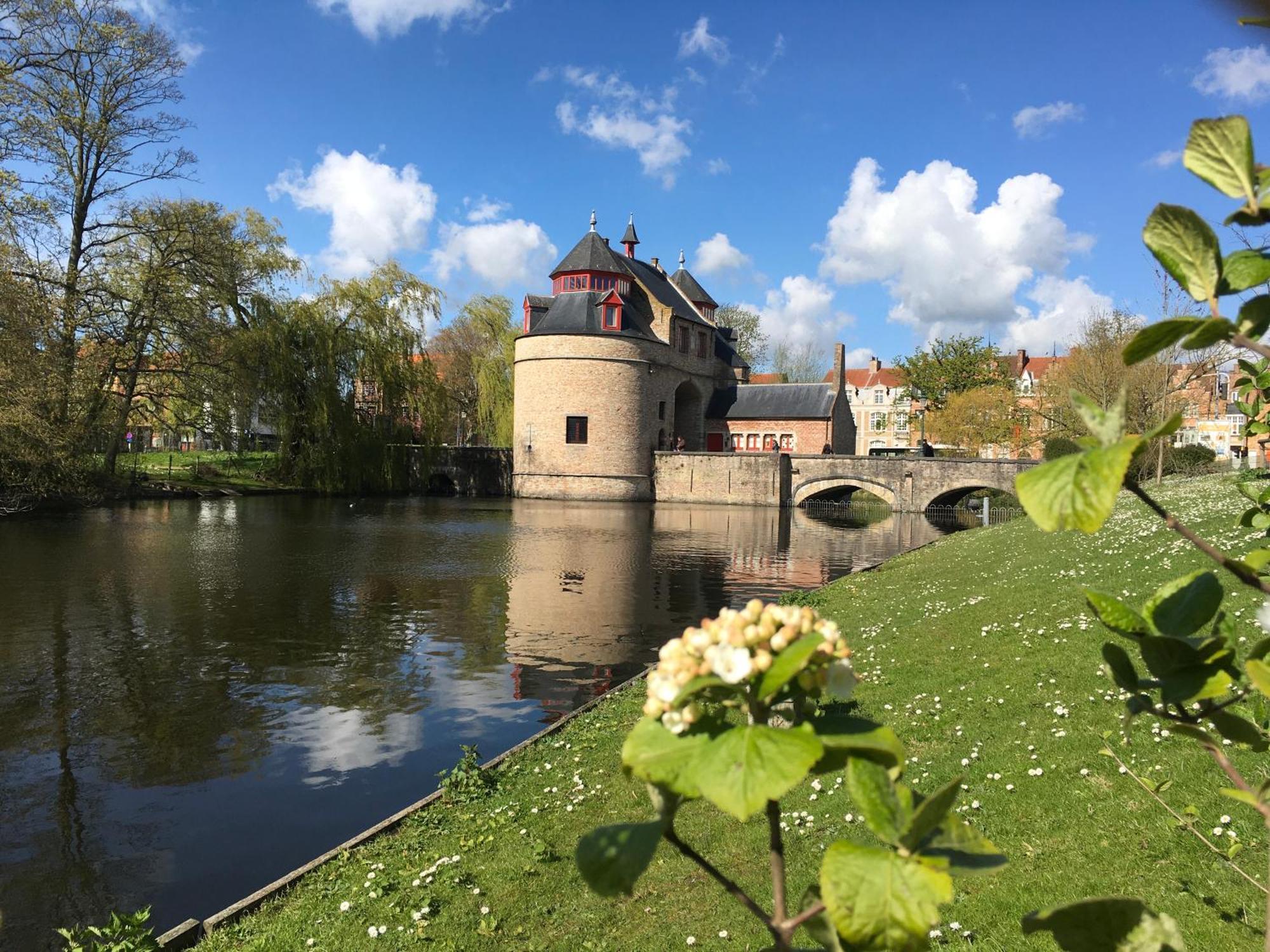 Royal Swans Couette-café Bruges